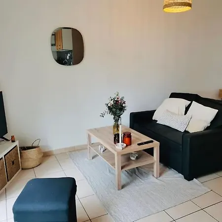 Le Cosy Montpellierain T3 Avec Parking Montpellier