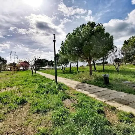 Le Cosy Montpellierain T3 Avec Parking * Montpellier